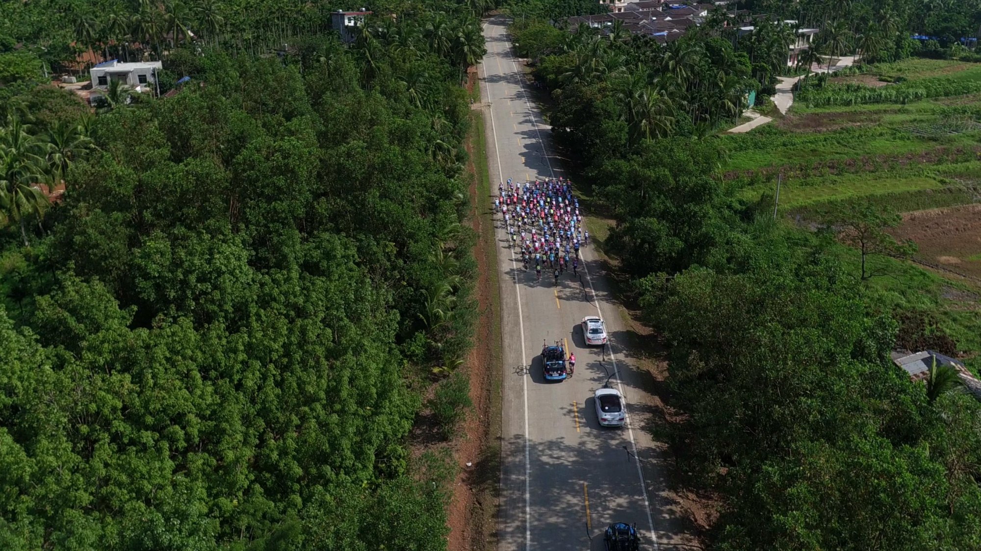 Video of Stage 2