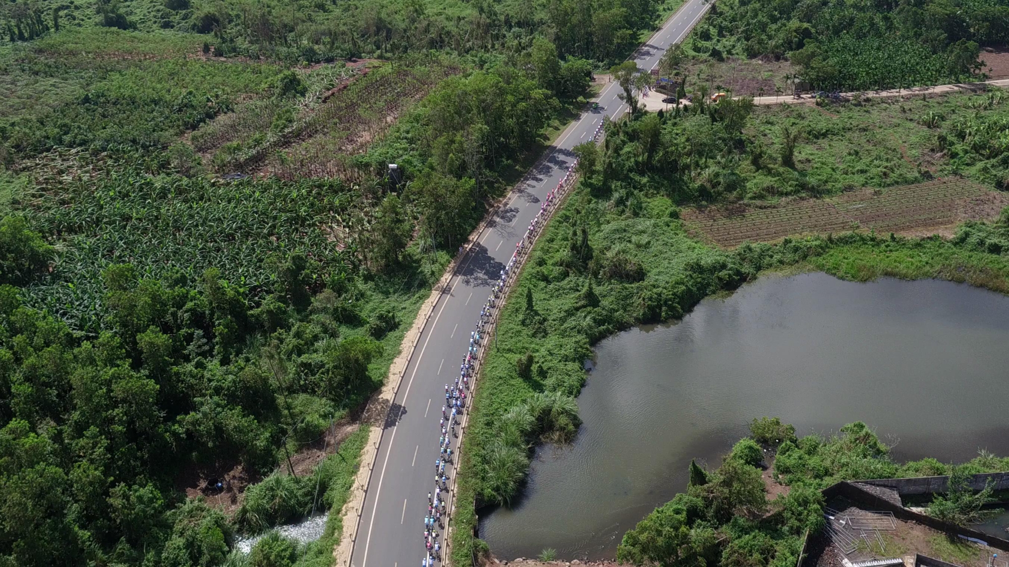 Video of Stage 3