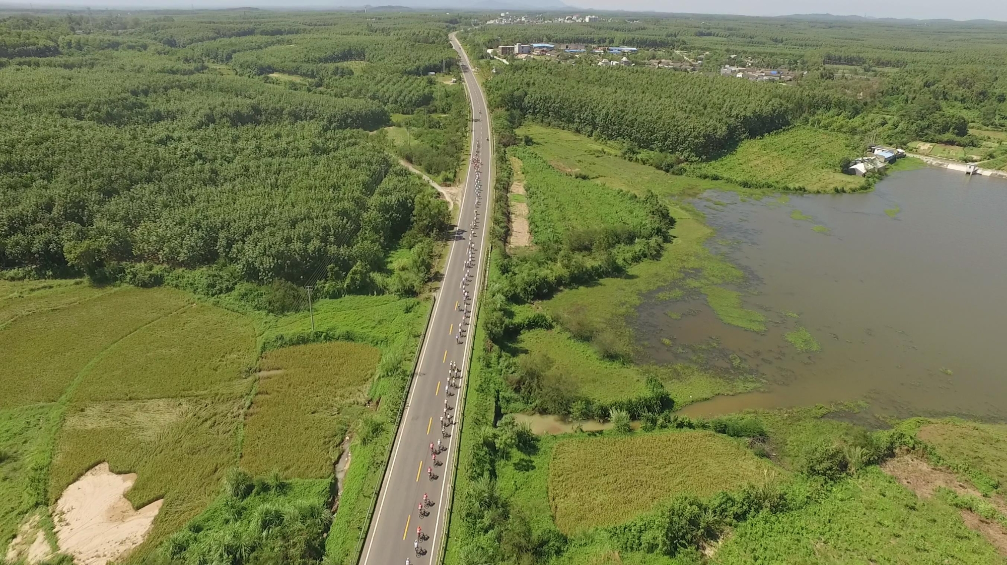 Video of stage 5