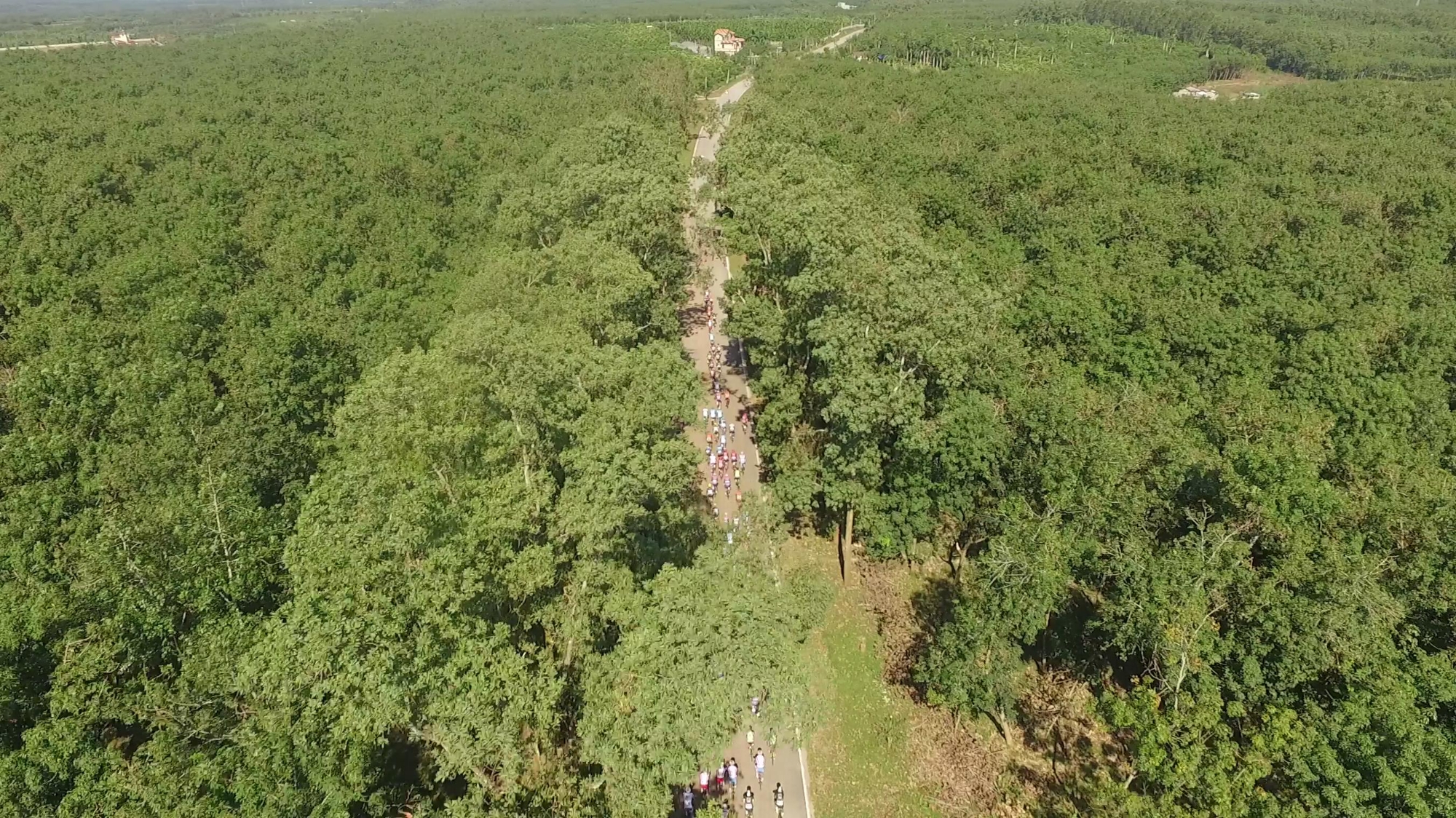Video of stage 5