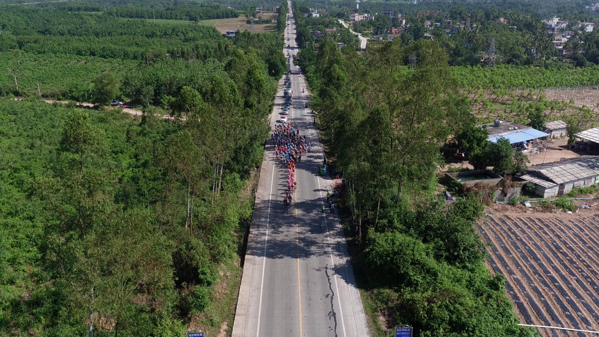 Video of stage 6