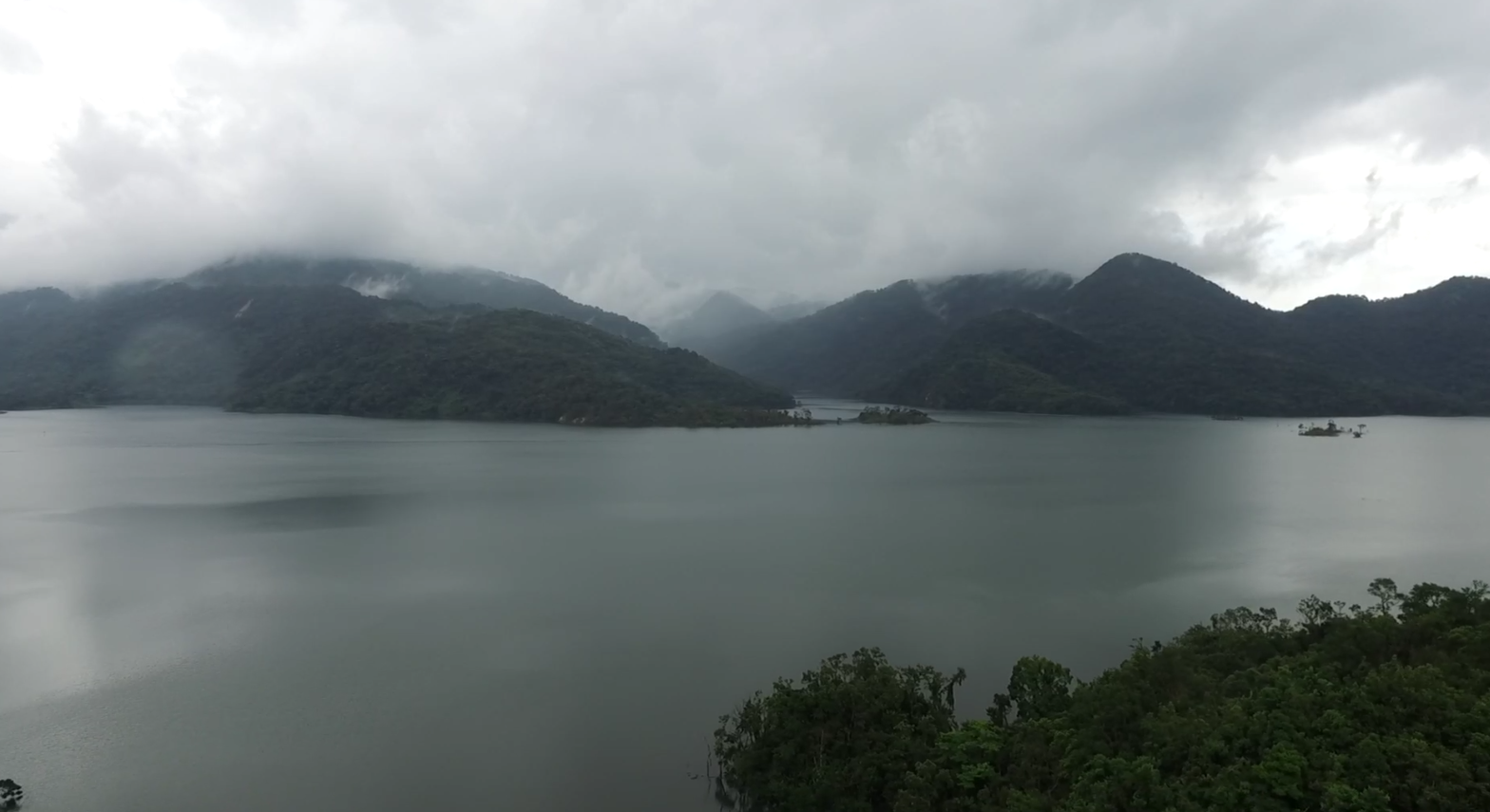 Video of stage 8