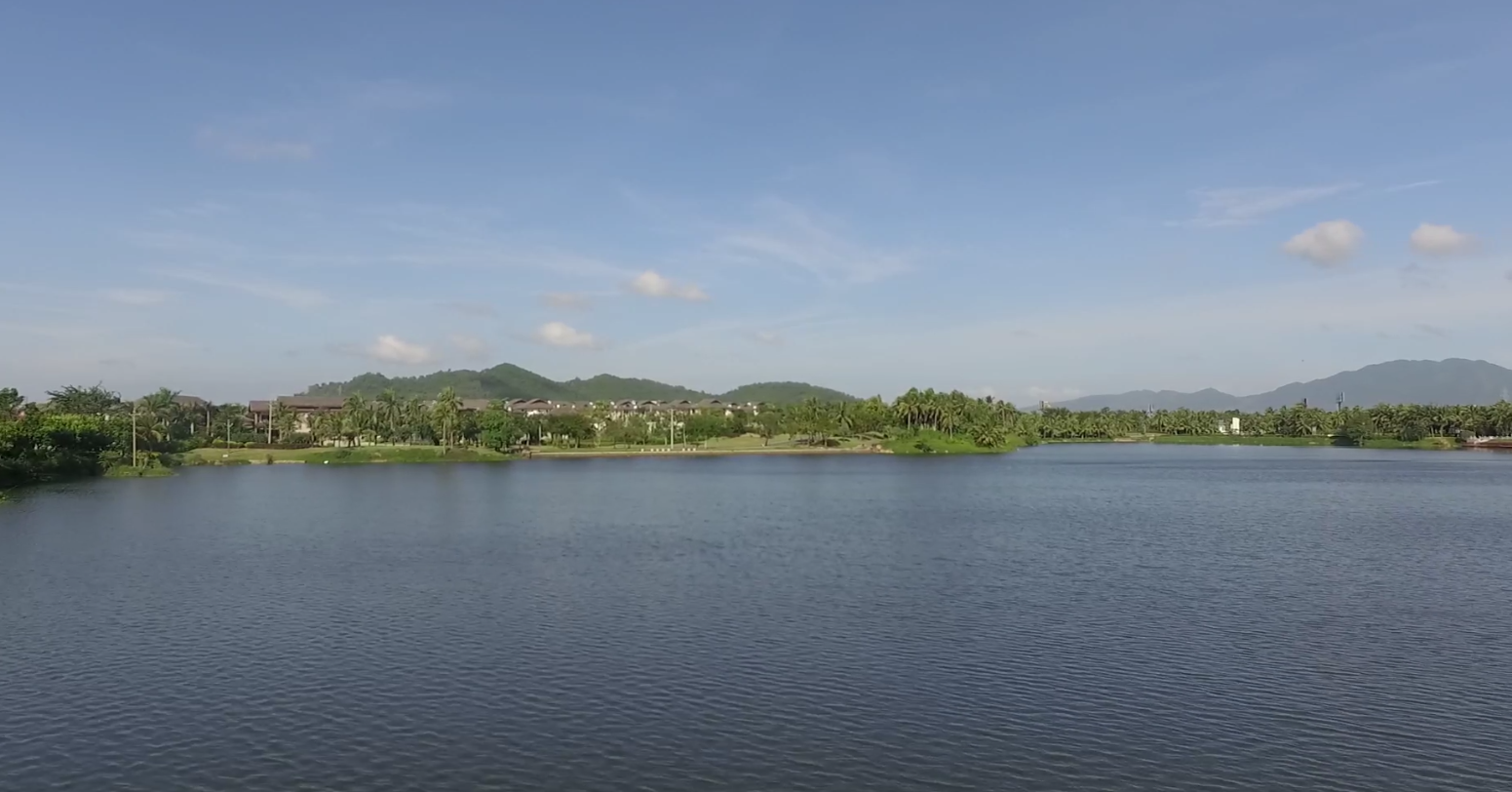 Video of stage 8